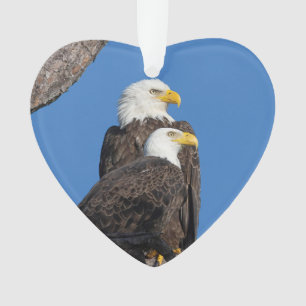 M15 & F23 Logo Holiday Ornament