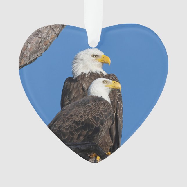 M15 & F23 Logo Holiday Ornament (Front)