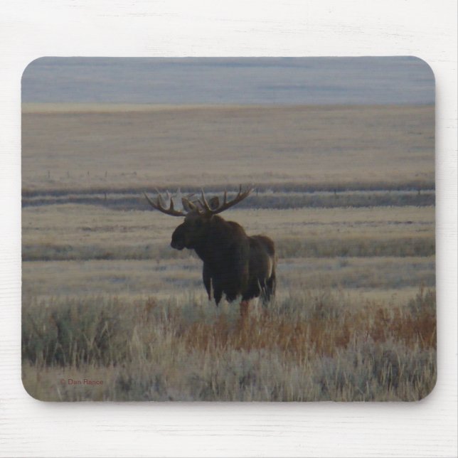 M1 Bull Moose Mouse Mat (Front)