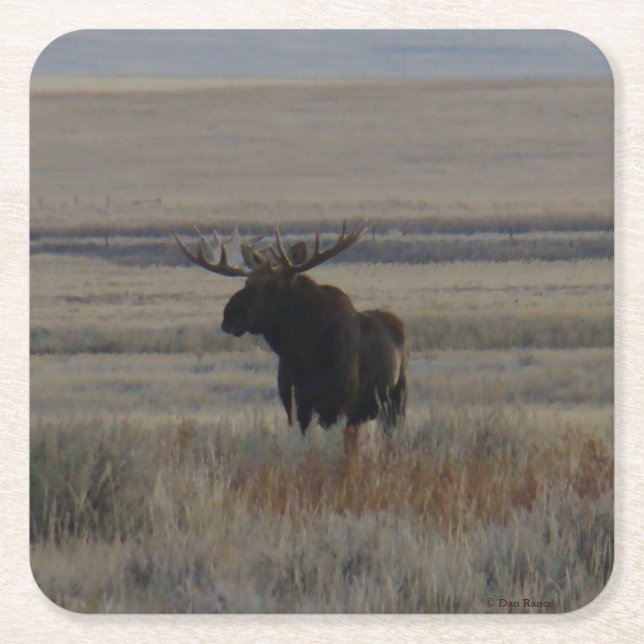 M1 Bull Moose Square Paper Coaster (Front)