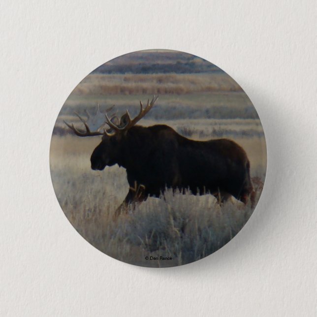 M2 Bull Moose 6 Cm Round Badge (Front)