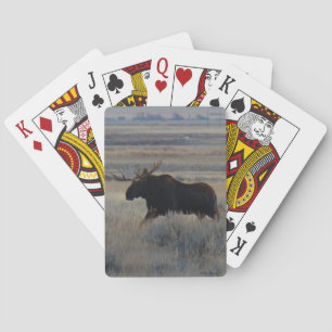 M2 Bull Moose Playing Cards