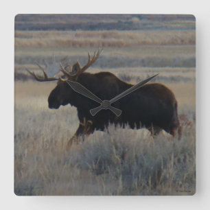 M2 Bull Moose Square Wall Clock