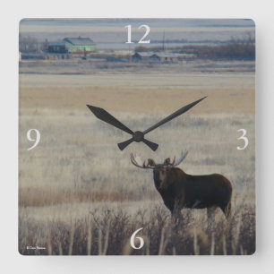 M3 Bull Moose on Farmland Square Wall Clock
