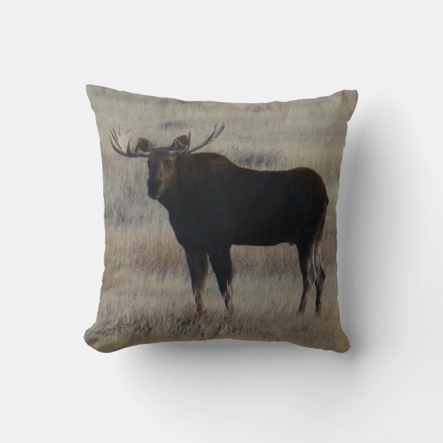 M4 Bull Moose Cushion (Front)