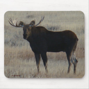 M4 Bull Moose Mouse Mat