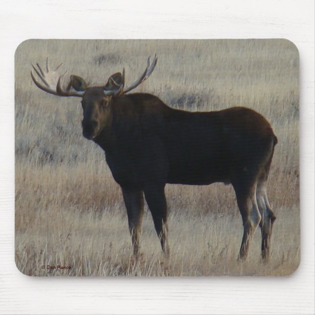 M4 Bull Moose Mouse Mat (Front)
