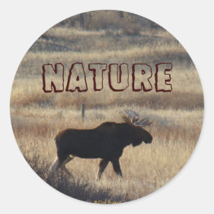 M5 Bull Moose and Sand Hills Classic Round Sticker
