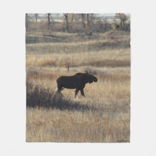 M5 Bull Moose and Sand Hills Fleece Blanket