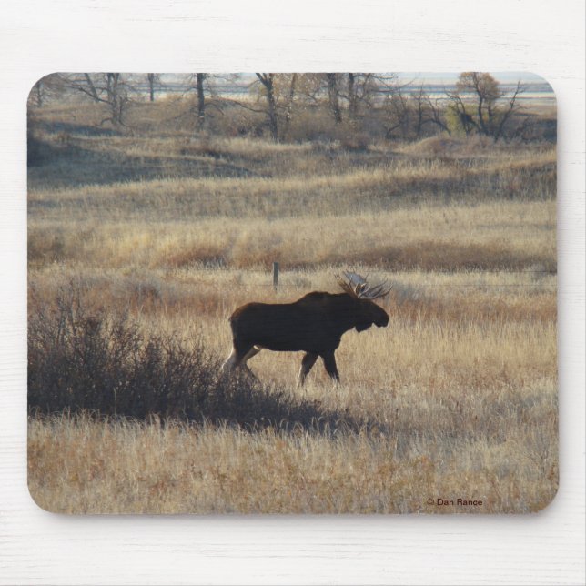 M5 Bull Moose Mouse Mat (Front)