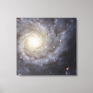 M74 Galaxy Canvas Print
