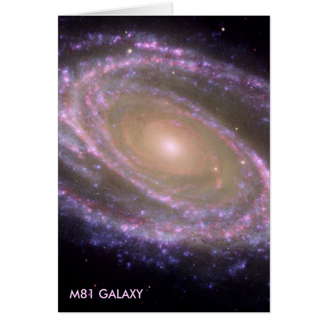 M81 GALAXY (Front)