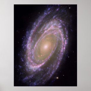 M81 Galaxy Poster