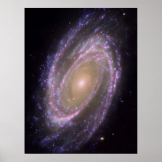 M81 Galaxy Poster
