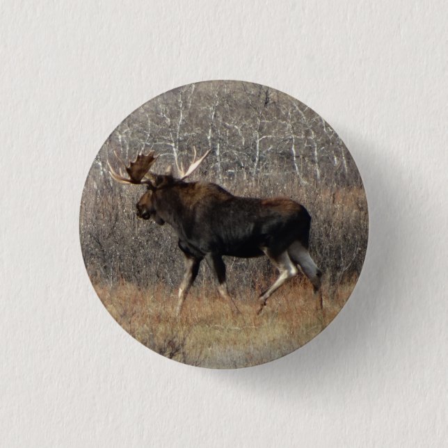 M8 Bull Moose 3 Cm Round Badge (Front)