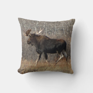 M8 Bull Moose Cushion