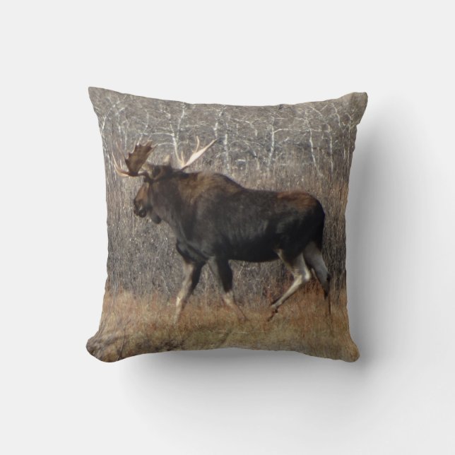 M8 Bull Moose Cushion (Front)