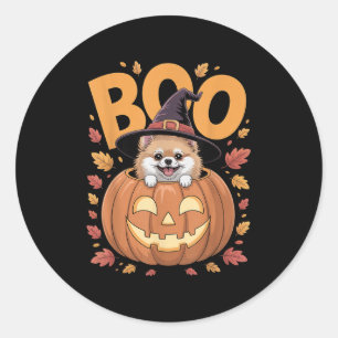 M Costume On Pumpkin Halloween Meranian  Classic Round Sticker