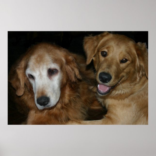 M & H 2 POSTER (Front)