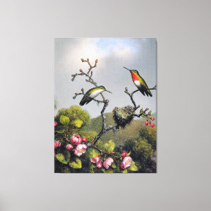 M. J. HEADE - Ruby Throat of North America (1865) Canvas Print