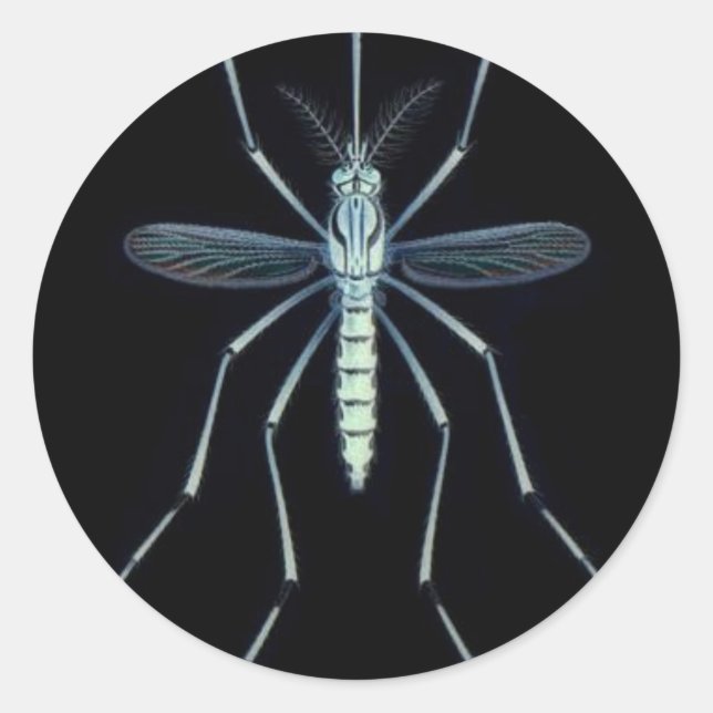 M POWER, CLASSIC ROUND STICKER (Front)