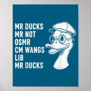 M R Ducks M R Not O S M R Cm Wangs Lib M R Ducks Poster
