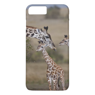 Maasai Giraffe (Giraffe Tippelskirchi) iPhone 8 Plus/7 Plus Case