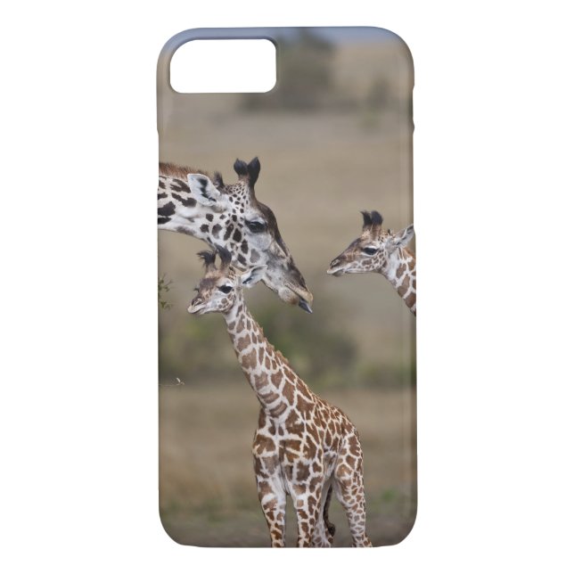 Maasai Giraffe (Giraffe Tippelskirchi) Case-Mate iPhone Case (Back)