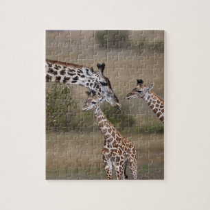 Maasai Giraffe (Giraffe Tippelskirchi) Jigsaw Puzzle