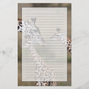 Maasai Giraffe (Giraffe Tippelskirchi) Stationery