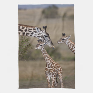 Maasai Giraffe (Giraffe Tippelskirchi) Tea Towel