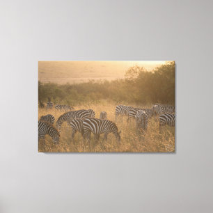 Maasai Morning Zebras Wrapped Canvas Print