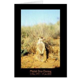 Mabili - Legends Card