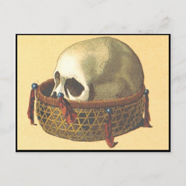 Macabre: Skull - New Guinea Postcard (Front)