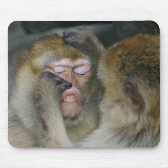 Macaca sylvanus mouse mat (Front)
