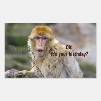 Macaca sylvanus rectangular sticker