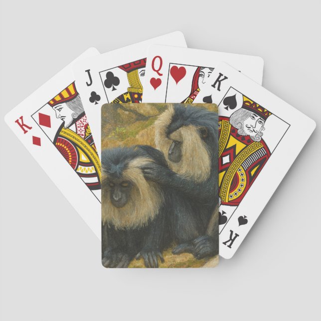 Macaque Bond – Grooming Ritual Playing Cards (Back)