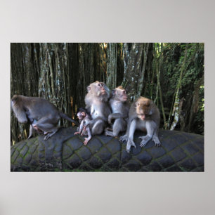 Macaque Family Poster