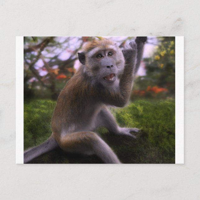 Macaque Postcard (Front)