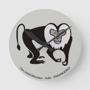 Macaque - round clock