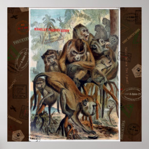 Macaques for Responsible Travel Poster