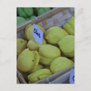 Macarons Postcard