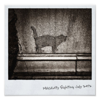 Macavity's Not There Photo Print