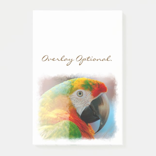 Macaw 1B Post-it Notes (Front)
