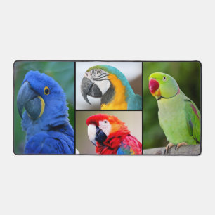 Macaw 4 Photo Collage Custom Monogram Desk Mat