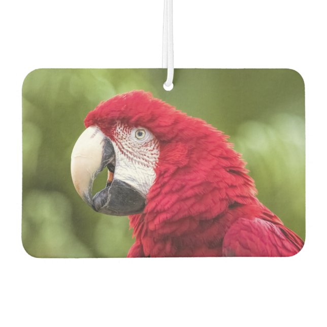 Macaw Air Freshener (Front)