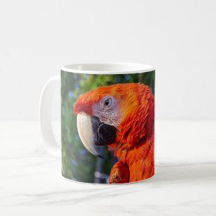 macaw bird coffee mug
