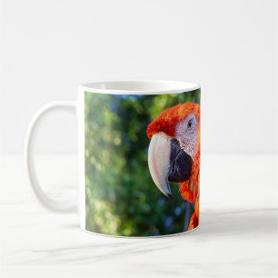 Macaw Bird Coffee Mug