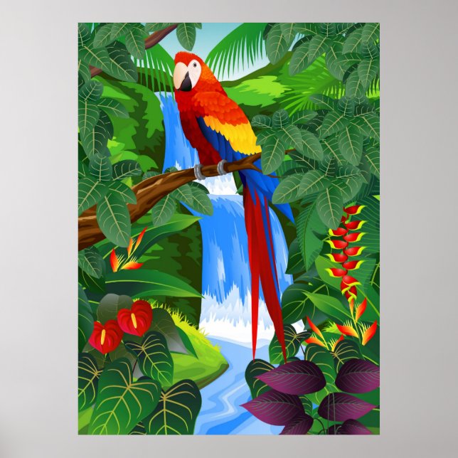 Macaw bird illustration poster (Front)