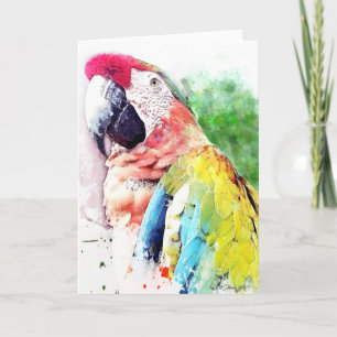 Macaw Blank Greeting Card